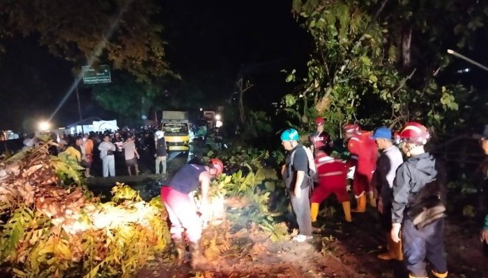 Pohon Besar Tumbang Putus Jalur Nasional Palabuhanratu