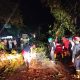 Pohon Tumbang