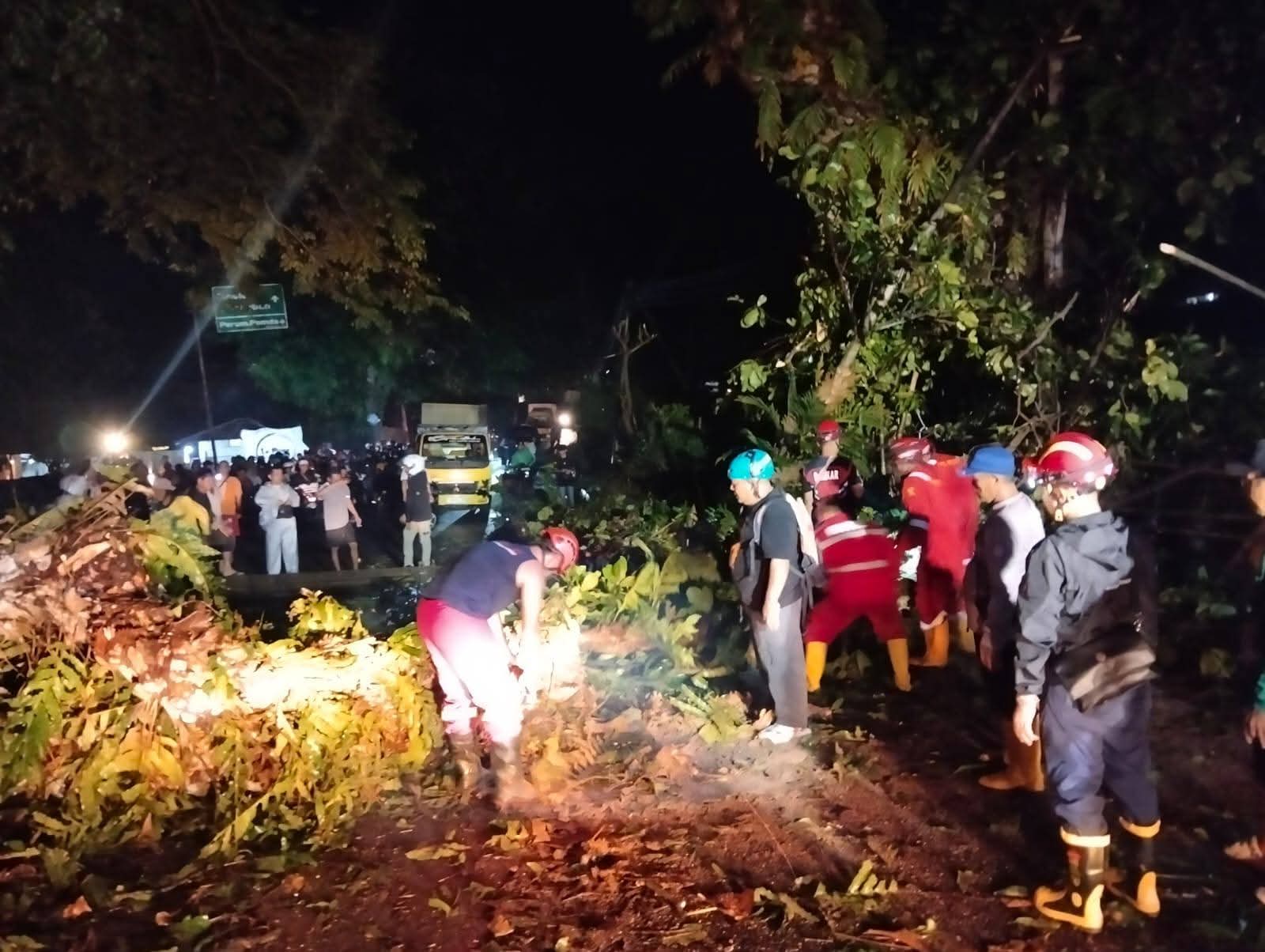 Pohon Tumbang
