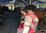 Polisi Sisir Lapak Kurban, Maling Kambing Diwaspadai