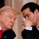 Trump Rubio