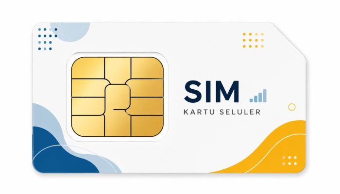 Pemerintah Terapkan Registrasi SIM Berbasis Biometrik untuk Perkuat Keamanan Digital