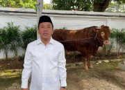 Daging Kurban Sapi 1,2 Ton dari Prabowo Ditebar ke Warga Karawang