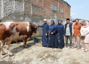 Sapi Kurban 1,3 Ton Bantuan Prabowo Dipotong, Warga Banjir Kebagian