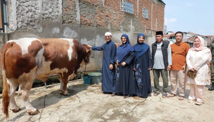 Sapi Kurban 1,3 Ton Bantuan Prabowo Dipotong, Warga Banjir Kebagian