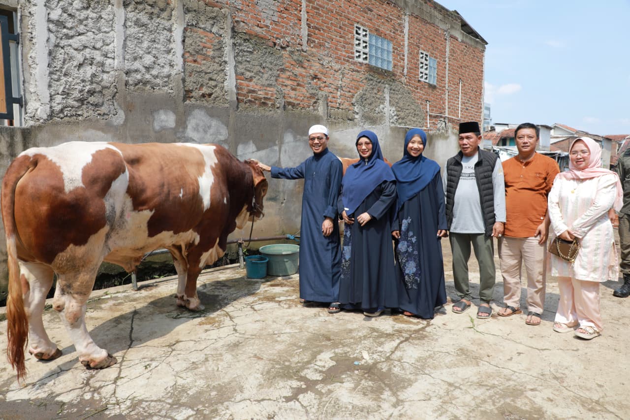 Sapi Kurban Prabowo