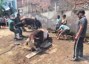 Kurban Baznas Kabupaten Bandung Tembus Rp2,1 M