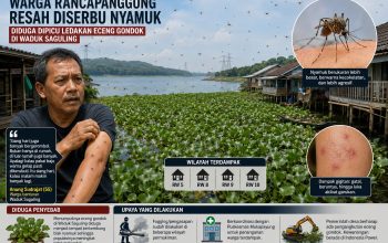 Serangan Nyamuk