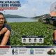 Serangan Nyamuk