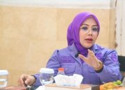 Anggota Komite I DPD RI, Aanya Rina Casmayanti