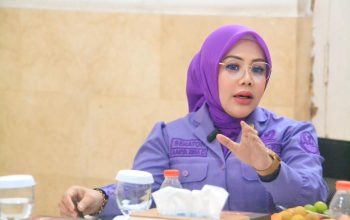 Anggota Komite I DPD RI, Aanya Rina Casmayanti