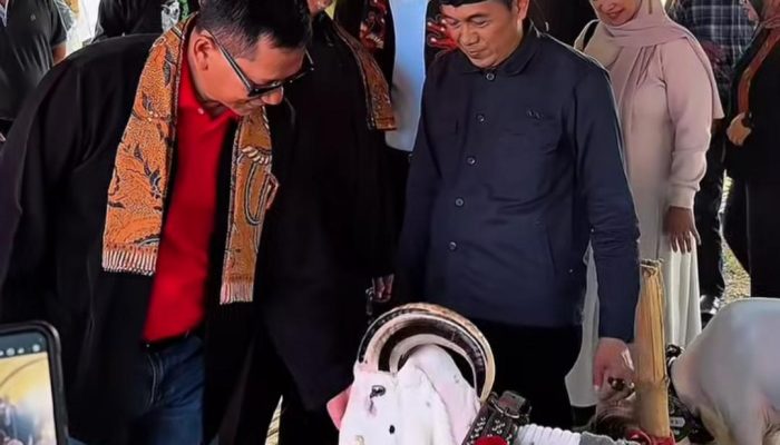 Pangdam Siliwangi Kawal Marwah Domba Garut