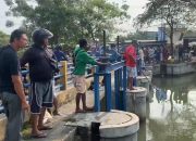 Ikan Mati Massal di Karawang