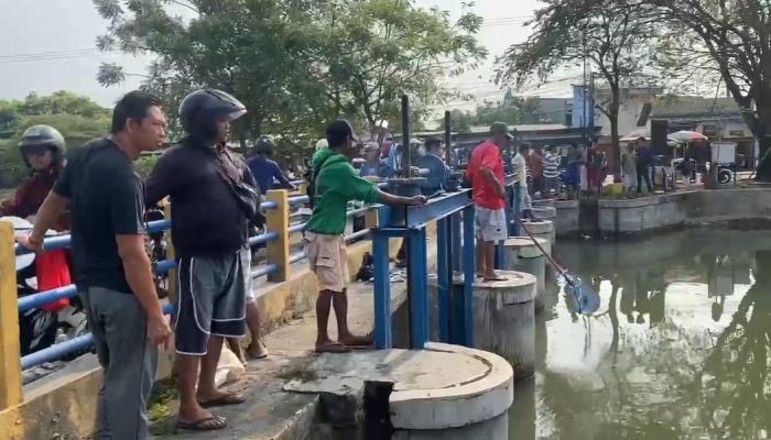 Ikan Mati Massal Gegerkan Karawang, Air PDAM Dipantau