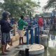 Ikan Mati Massal di Karawang
