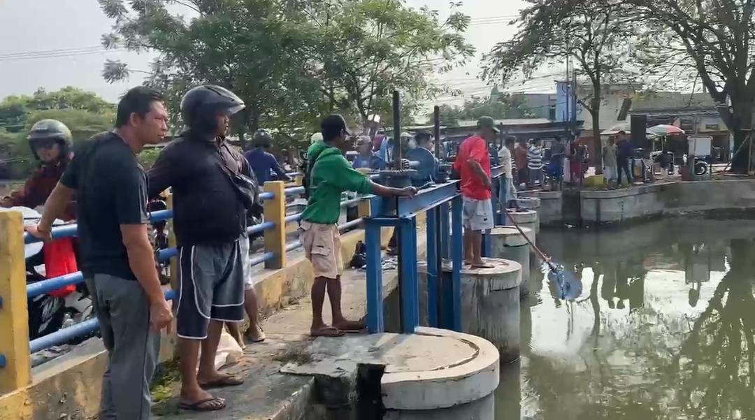 Ikan Mati Massal di Karawang