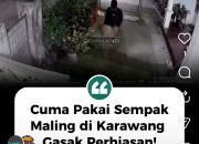 Maling