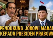 Pendukung Jokowi