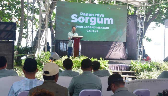 Gantikan Batubara, Sorgum Sukabumi Kini Jadi Penyelamat PLTU