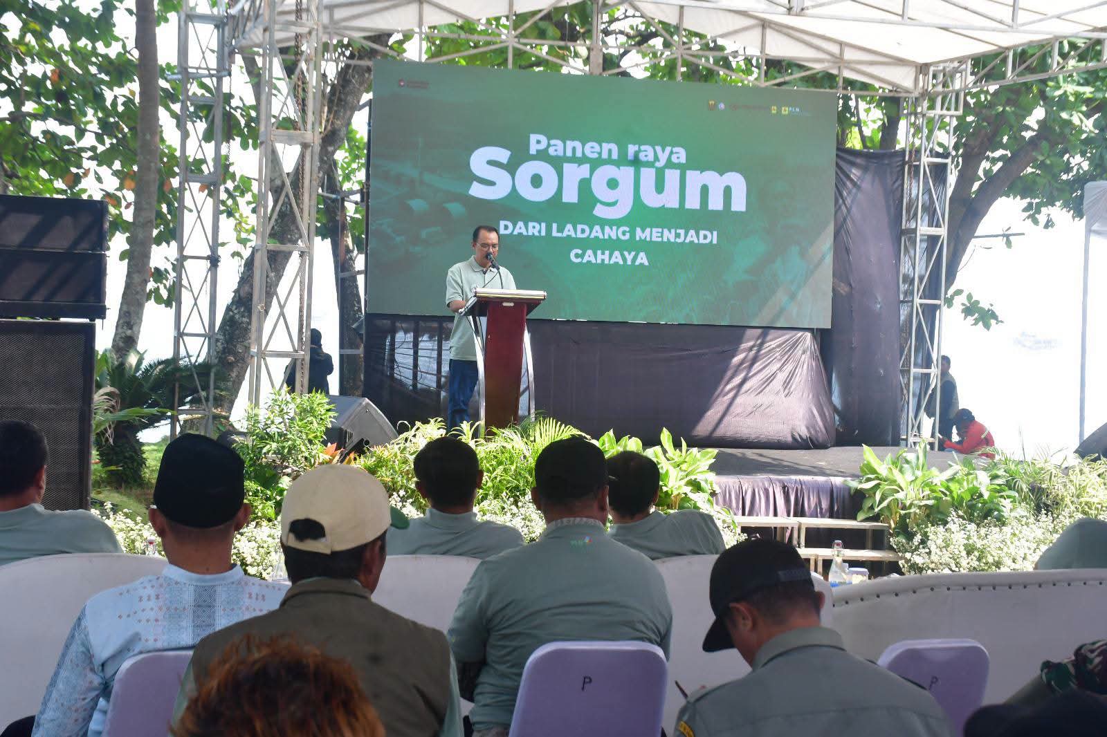 Sorgum