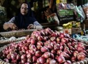 PIHPS: Harga Bawang Merah Capai Rp50.950 per Kg pada Minggu Pagi