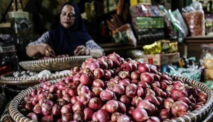 PIHPS: Harga Bawang Merah Capai Rp50.950 per Kg pada Minggu Pagi