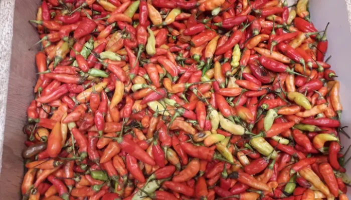 Cabai Rawit Merah Masih ‘Nyelekit’, Harga Tembus Rp92 Ribu/Kg