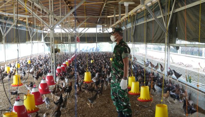 Cikabayam Sukses Bantu Masyarakat Mandiri Pangan