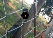 Misteri Jenazah Pemuda di Tol Cimahi, Polisi Belum Simpulkan