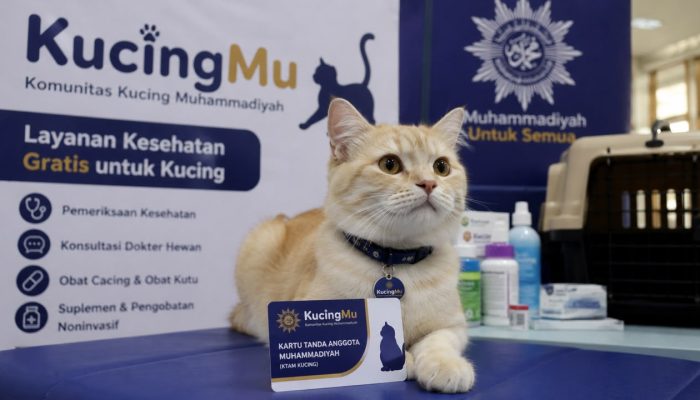 Gebrakan Muhammadiyah: Kucing Dapat KTAM, Cek Kesehatan Gratis di Yogyakarta