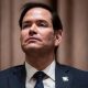 Rubio