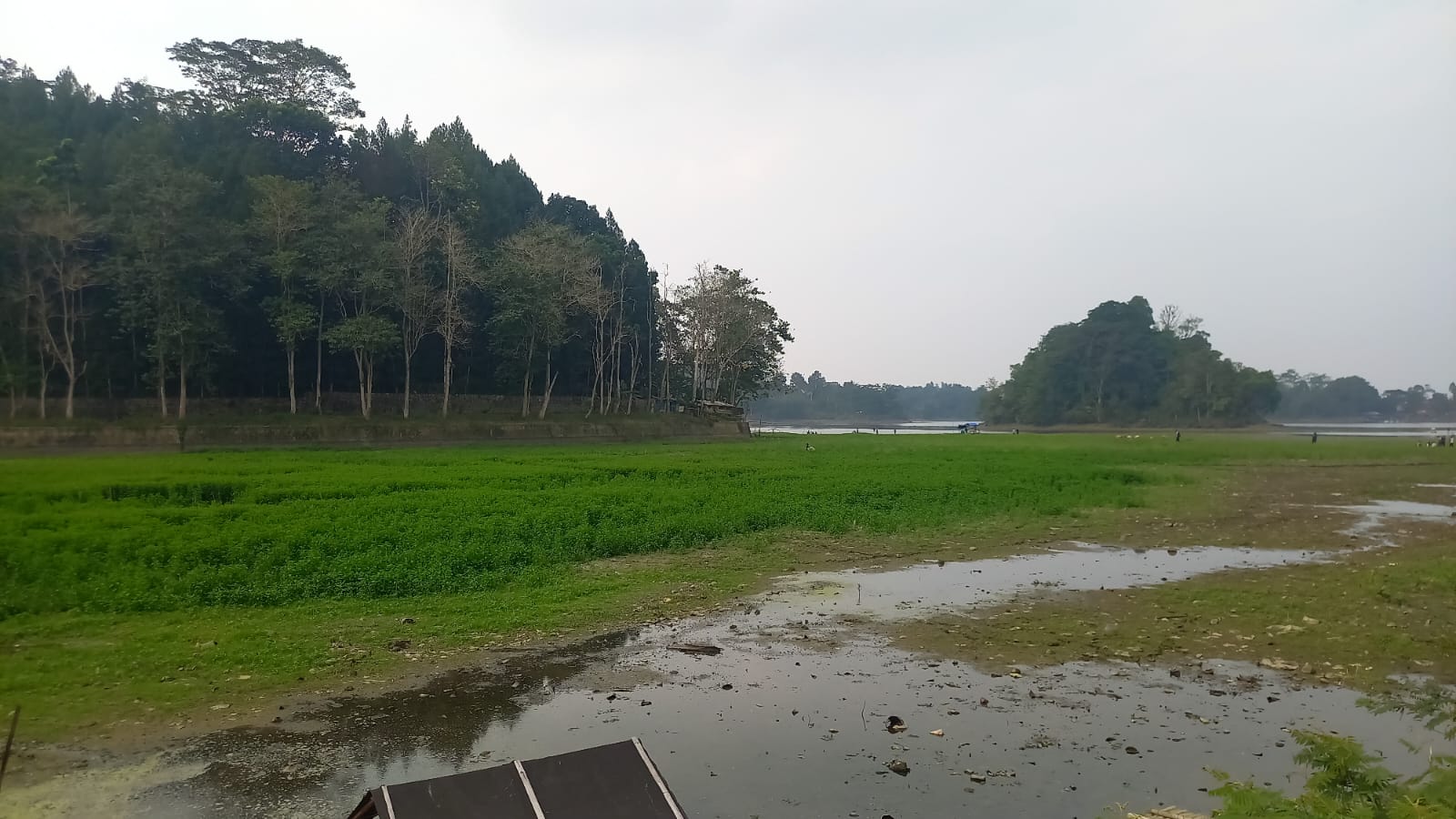 Situ Gede