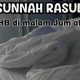 Sunah Rosul