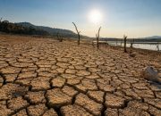 Ilustrasi kondisi musim kemarau dengan lahan kering dan minim air saat BMKG memprediksi kemarau berlanjut hingga Oktober 2026.