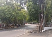 Drainase Raden Demang: Pohon Tak Boleh Tumbang Sia-sia!