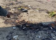 Pesisir Karawang Kembali Berlumur Minyak, Nelayan Resah