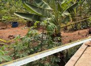 Kebun Singkong Karangjaya Jadi TKP, Pria Tewas Diduga Dibacok