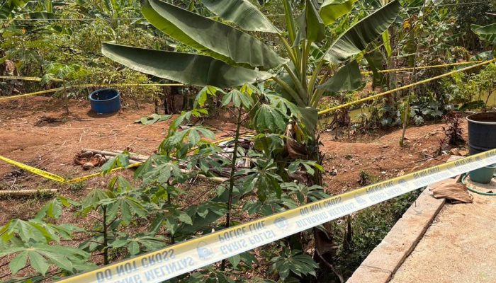 Kebun Singkong Karangjaya Jadi TKP, Pria Tewas Diduga Dibacok