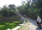 KDS Perintahkan Normalisasi Irigasi, 1.950 Hektare Sawah Bandung Terancam Kering