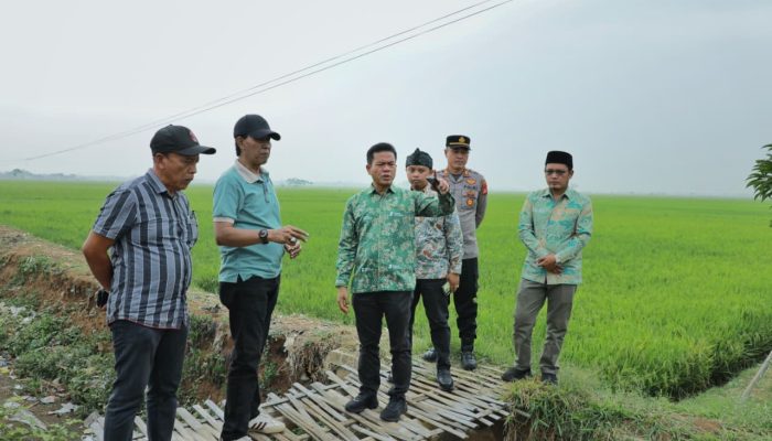 KDS Usulkan Rp947 Miliar untuk Benahi 547 Daerah Irigasi