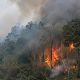karhutla di kawasan gambut Kalimantan yang apinya menjalar ke lapisan bawah tanah, September 2026.