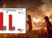 Kebakaran Lahan di Garut Melonjak, Naik 1495 Persen!