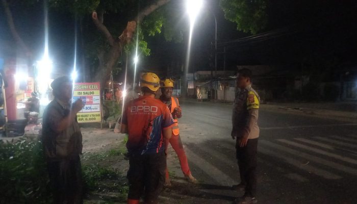 Pohon Mahoni Tumbang di Tasikmalaya, Jalan Sempat Ditutup